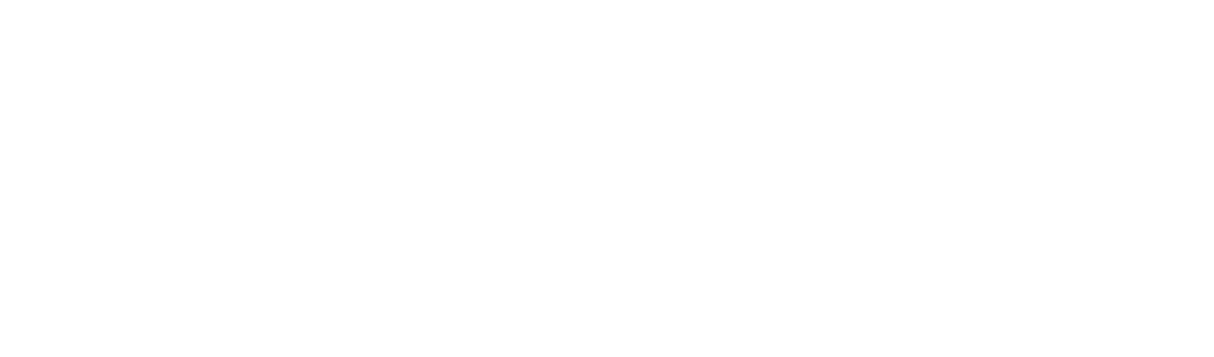 רייסדור